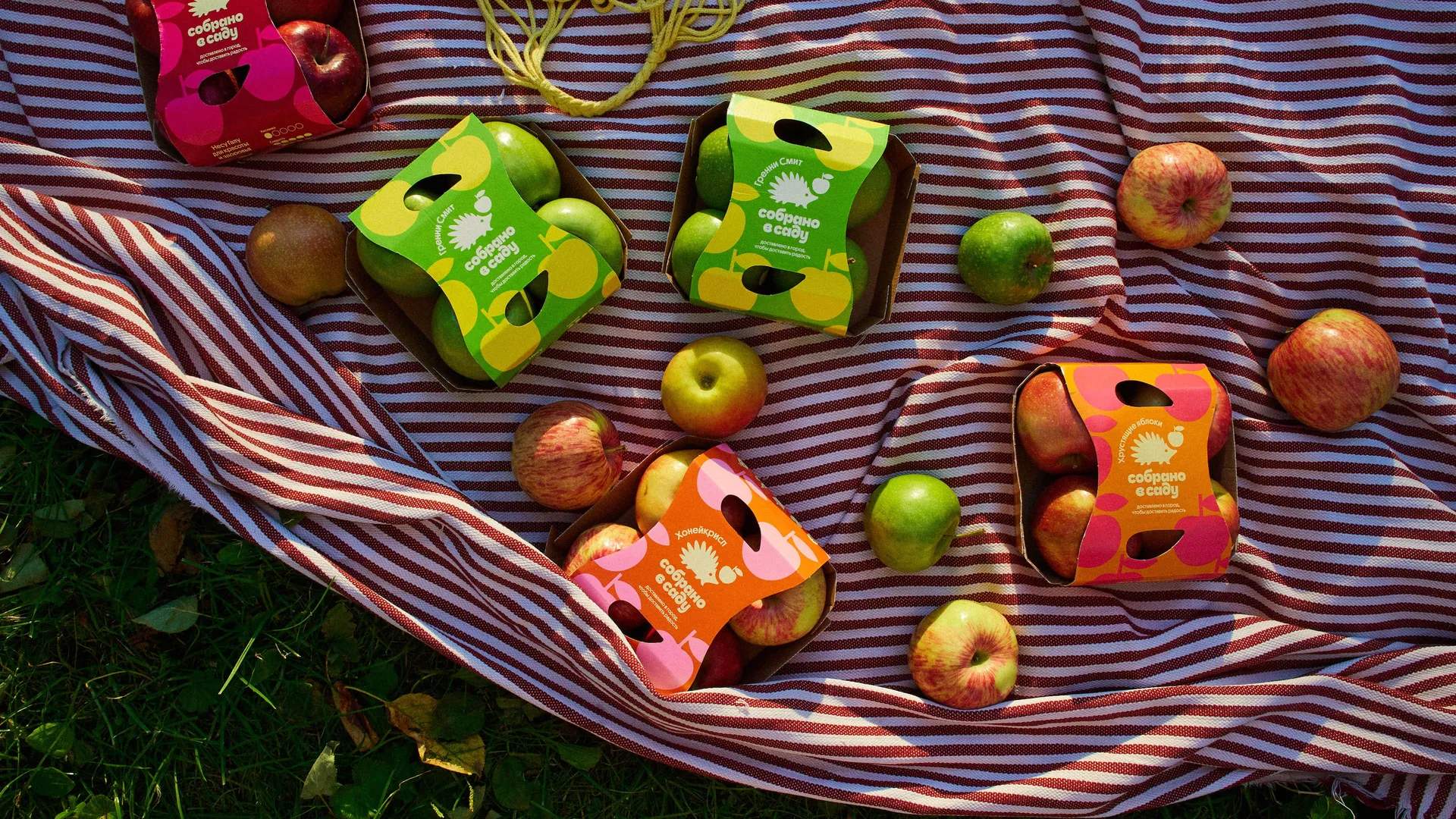 Sóbrano v Sadú Sóbrano v Sadú