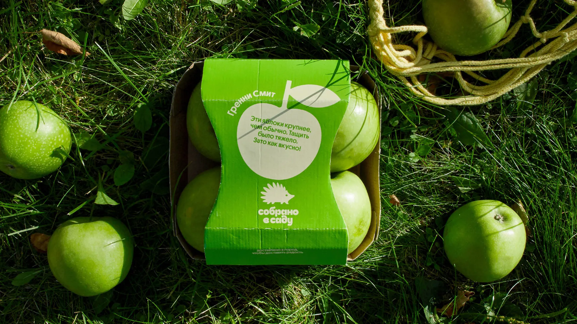 Sóbrano v Sadú Sóbrano v Sadú