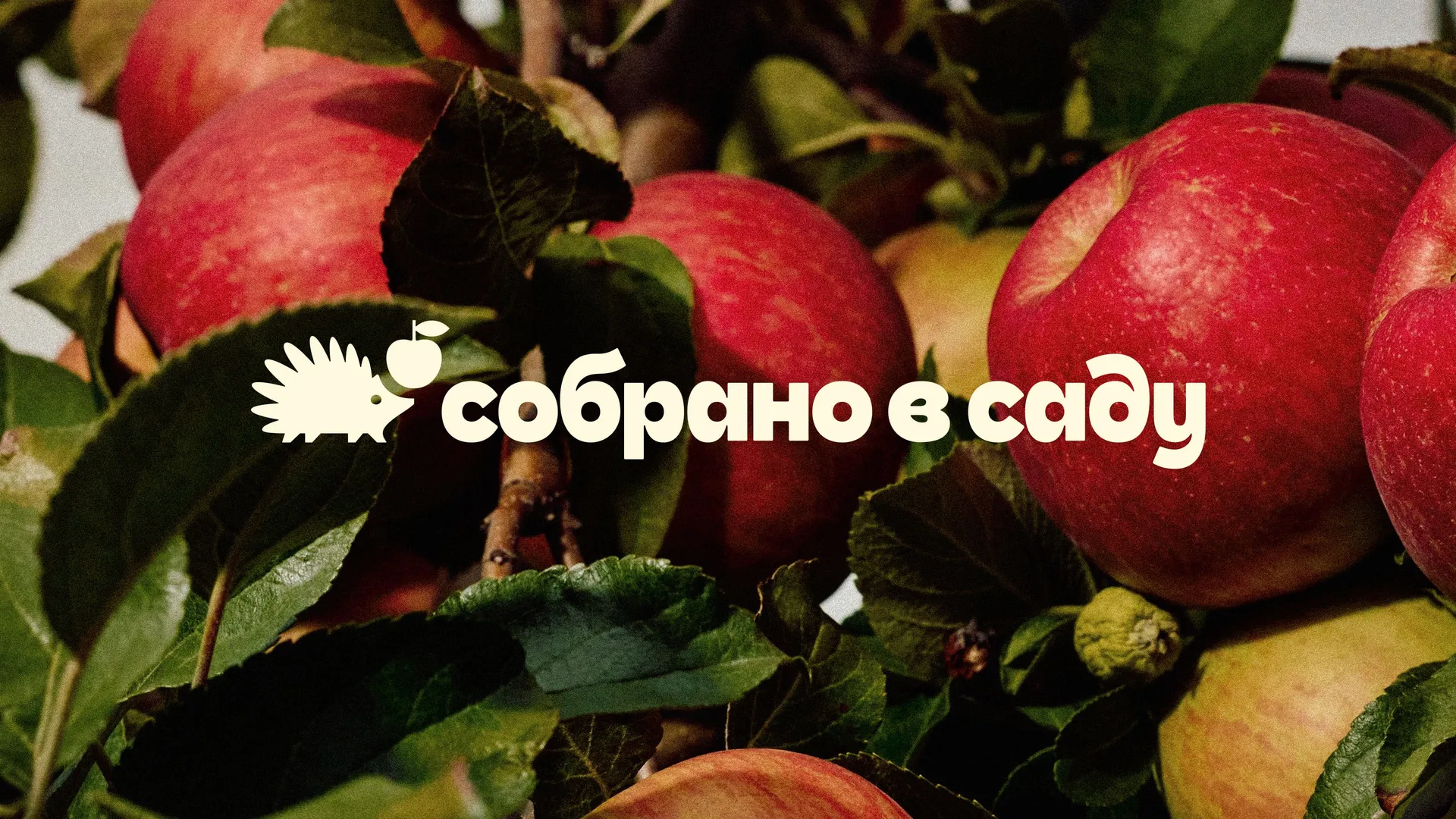 Sóbrano v Sadú Sóbrano v Sadú