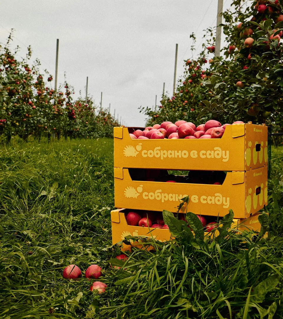 Sóbrano v Sadú Sóbrano v Sadú