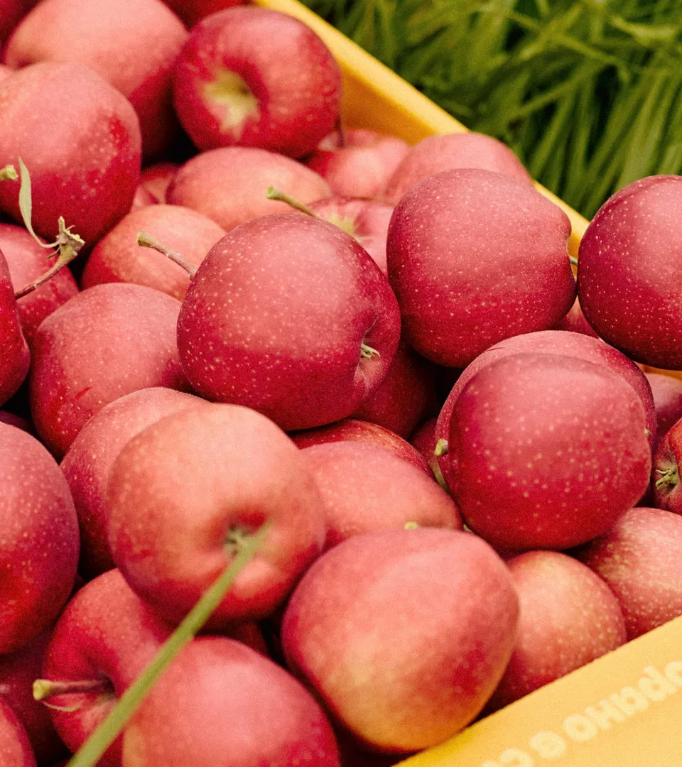 Sóbrano v Sadú Sóbrano v Sadú